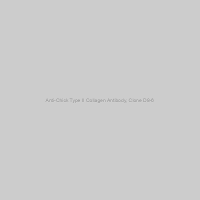 Chondrex - Anti-Chick Type II Collagen Antibody, Clone D8-6